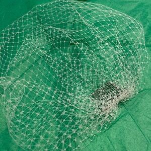 Classic White Birdcage Veil Hair Net